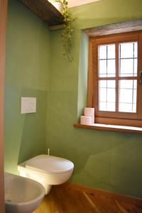 a green bathroom with a toilet and a window at Dal Ciavatin in Paesana