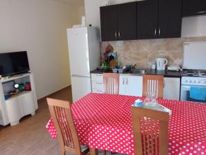 Η κουζίνα ή μικρή κουζίνα στο Apartment Rozi