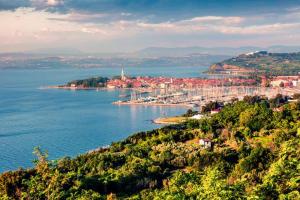 a view of a city from a hill with the water at Rooms Izola in Izola
