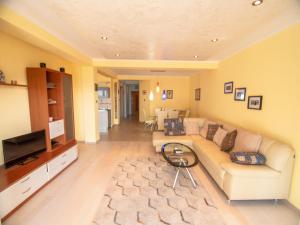 a living room with a couch and a television at Mum's Apartment in Petrovac na Moru