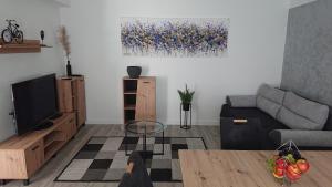 TV a/nebo společenská místnost v ubytování AmAmA
