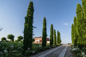 Villa San Pietro外面的花园