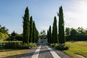 Villa San Pietro外面的花园