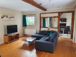 TV a/nebo společenská místnost v ubytování Hotel Garni Lindenmühle