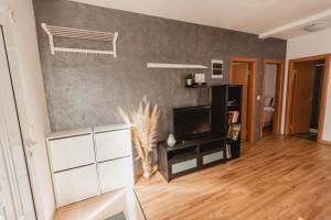 Μια τηλεόραση ή/και κέντρο ψυχαγωγίας στο Apartment Sunny Terrace