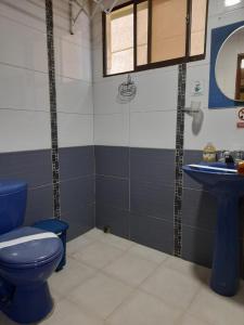 bagno con servizi igienici blu e lavandino di Apartamento Oasis a Puerto de Gaira
