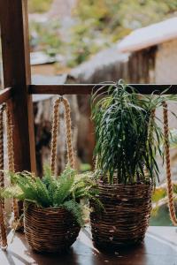 two plants in baskets sitting on a window sill at Pousada Vila Verde Caraíva in Caraíva