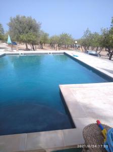 a large pool of blue water with trees in the background at Agriturismo Vita e Natura in Noto