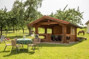 eine Holzhütte mit einem Tisch und Stühlen im Gras in der Unterkunft Hof Wagenberg Ferienwohnung 1 in Deggenhausertal