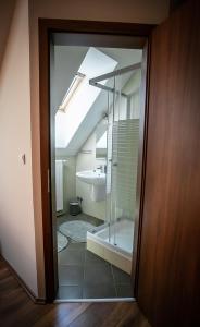 uma casa de banho com uma cabina de duche em vidro e um lavatório. em Forrás vendégház em Dunaegyháza