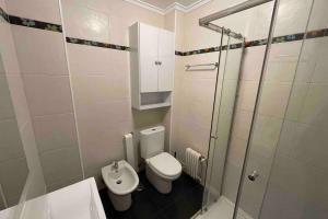 La salle de bains est pourvue de toilettes, d'un lavabo et d'une douche. dans l'établissement Coqueto apartamento cerca de la playa, à Santander