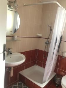 a bathroom with a sink and a toilet and a shower at Guest House Rózsakert in Egerszalók