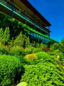 Zahrada ubytování Savaneti Eco Hotel
