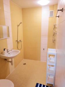 La salle de bains est pourvue d'un lavabo et d'une douche. dans l'établissement M&M Apartment X SELF CHECK-IN, à Panevėžys