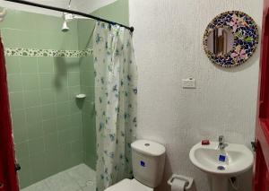 Koupelna v ubytování Hotel Natura Cocora
