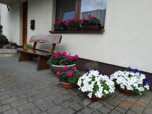 Zahrada ubytování Niedaleko Morza