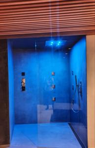 a room with a blue wall and a blue floor at Maison Bondaz & SPA privé in Aosta