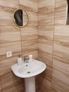 a bathroom with a white sink and a mirror at Cabana Valea lui Maș in Robaia