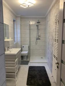 La salle de bains est pourvue d'une douche, de toilettes et d'un lavabo. dans l'établissement Complex Rezidential Ana, à Caransebeş
