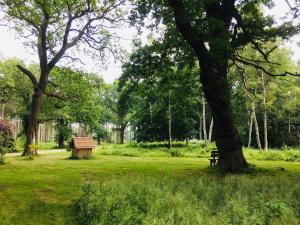 un parque con un banco y un árbol en Hollicarrs - Sunflower Lodge en York