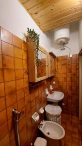 a bathroom with a sink and a toilet at Casetta Anita in Cavalese