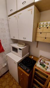 a small kitchen with a microwave and a stove at Casetta Anita in Cavalese