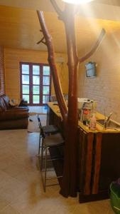 a kitchen with a tree next to a sink at Majorka in Balatonfenyves