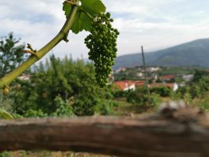 Foto dalla galleria di Casa da Quinta a Tabuaço