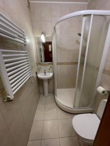 ein Badezimmer mit Dusche, Toilette und Waschbecken in der Unterkunft One bedroom Kreschatik Str 4 in Kiew