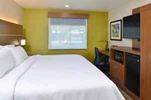 um quarto com uma cama, uma secretária e uma televisão em Holiday Inn Express - Santa Rosa North, an IHG Hotel em Santa Rosa
