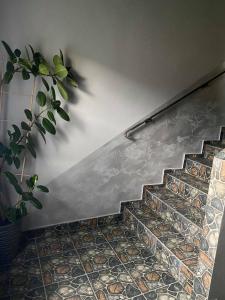 a stone staircase in a room with a potted plant at Apartamenty Otrytturystyka in Ustrzyki Dolne