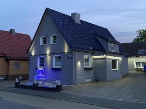 ein Haus mit einem lila Objekt auf der Seite in der Unterkunft Ferienhaus Harz in Bad Sachsa