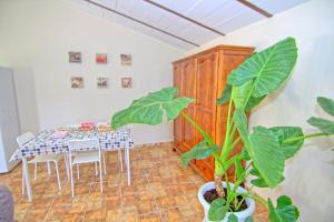 Fotografia z galérie ubytovania Apartamento Rural Vainilla v destinácii Ronda