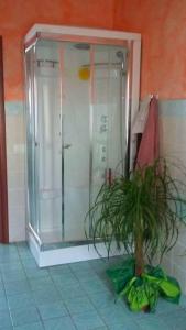 una doccia in bagno con una pianta di Indipendente con PISCINA USO ESCLUSIVO Internet illimitato a Siniscola