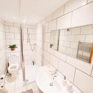 布萊頓霍夫的住宿－Modern 4 bedroom flat near Brighton Station，白色的浴室设有卫生间和水槽。
