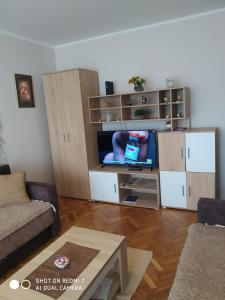Uma televisão e/ou sistema de entretenimento em Apartman Ivan