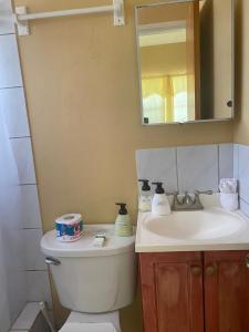 a bathroom with a toilet and a sink and a mirror at Beverley's Guest House, Nevis in Nevis +21 photos