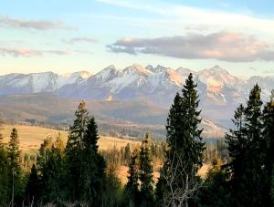 ツァルナ・グラにあるGórski Ośrodek Wczasowy Kościelecの手前に木々が植えられた山脈の景色