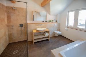 MörlenbachにあるLang´s Ferienhaus im Weschnitztalのバスルーム(シャワー、洗面台、トイレ付)