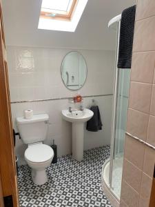 a bathroom with a toilet and a sink and a mirror at Wild Atlantic Way House in Achill