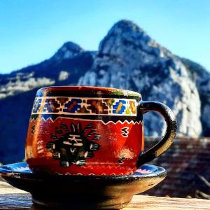 een rood koffiekopje op een bord op een tafel bij Golemi kamik Pirot in Pirot