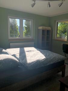 a bedroom with a bed and two windows at Fewo Kuller in Lauscha - Ernsthal am Rennsteig