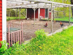 un gallinero con pollos dentro. en 2 person holiday home in M NSTER S, en Mönsterås