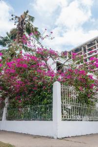 a white fence with pink flowers on it at Casa MIKONOS in Cartagena de Indias