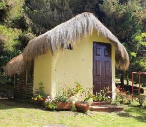 Cabaña pequeña con techo de hierba y puerta en Glamping Verde 360, en Guasca