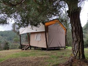 a tent on a hill next to a tree at Glamping Verde 360 in Guasca