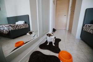 Postel nebo postele na pokoji v ubytování Hotel Gloria