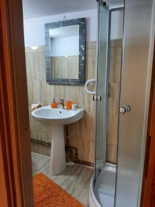bagno con lavandino e doccia con specchio di Casa IRIS Slanic a Slănic