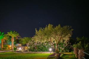 Ein Garten an der Unterkunft Hotel Villa Rita