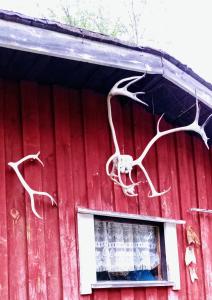 Fotografie z fotogalerie ubytování Maggala apartments v destinaci Utsjoki